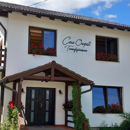 Appartement Casa Oaspeti Transfagarasan à Cîrţişoara Extérieur photo