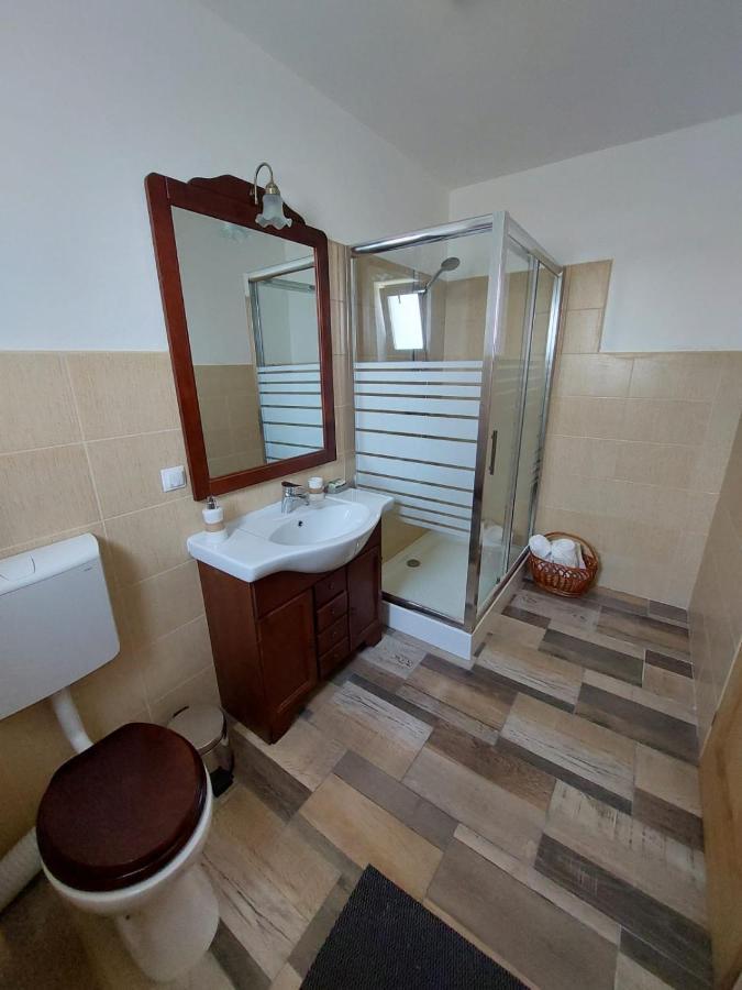 Appartement Casa Oaspeti Transfagarasan à Cîrţişoara Extérieur photo