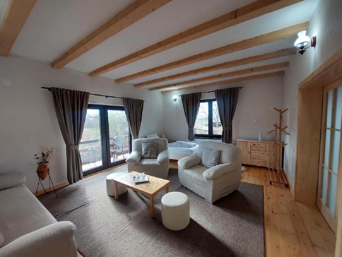 Appartement Casa Oaspeti Transfagarasan à Cîrţişoara Extérieur photo