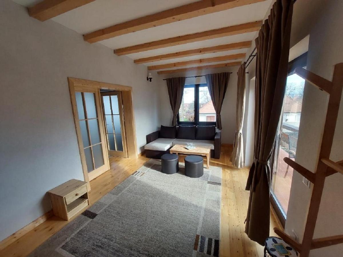 Appartement Casa Oaspeti Transfagarasan à Cîrţişoara Extérieur photo