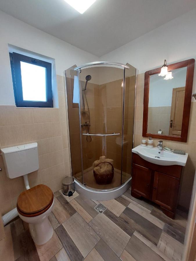 Appartement Casa Oaspeti Transfagarasan à Cîrţişoara Extérieur photo