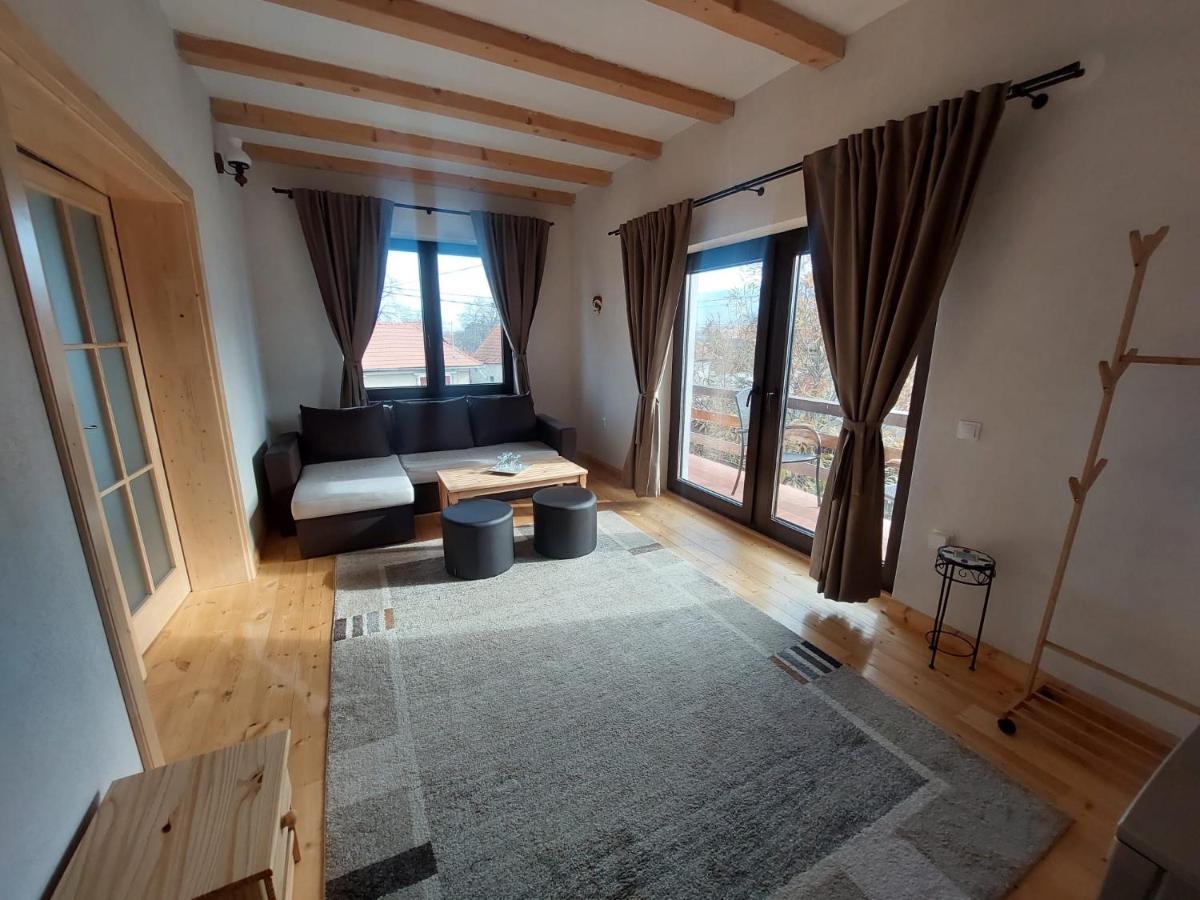 Appartement Casa Oaspeti Transfagarasan à Cîrţişoara Extérieur photo