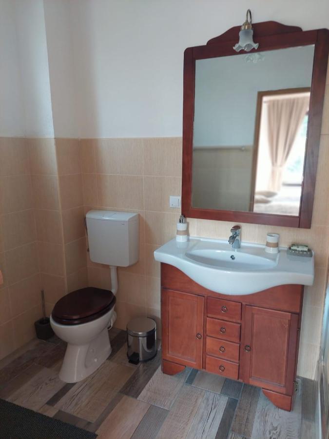 Appartement Casa Oaspeti Transfagarasan à Cîrţişoara Extérieur photo