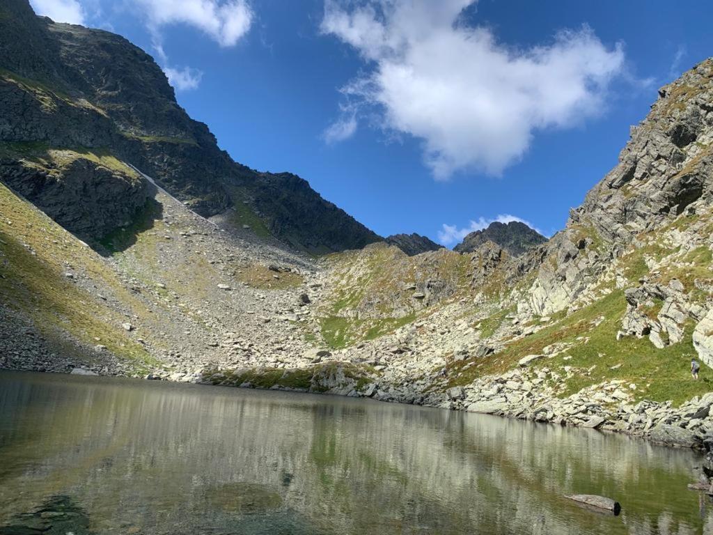 Appartement Casa Oaspeti Transfagarasan à Cîrţişoara Extérieur photo