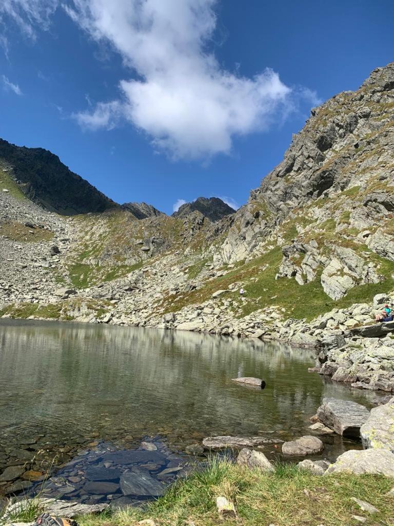 Appartement Casa Oaspeti Transfagarasan à Cîrţişoara Extérieur photo