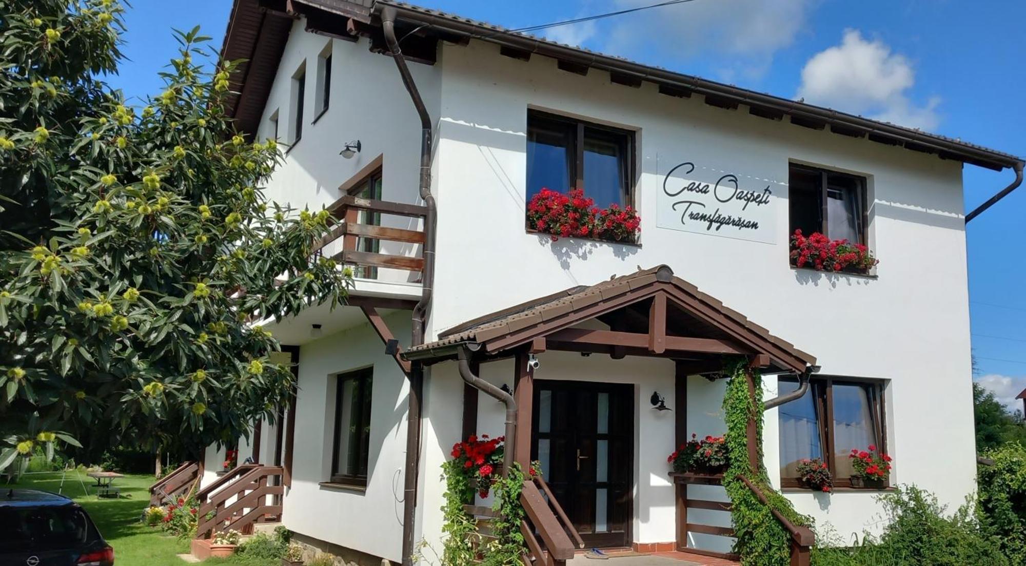 Appartement Casa Oaspeti Transfagarasan à Cîrţişoara Extérieur photo