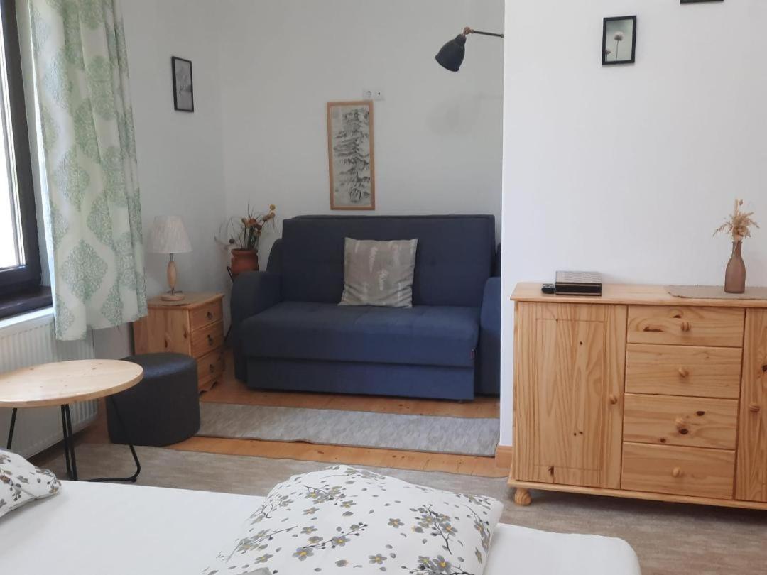 Appartement Casa Oaspeti Transfagarasan à Cîrţişoara Extérieur photo