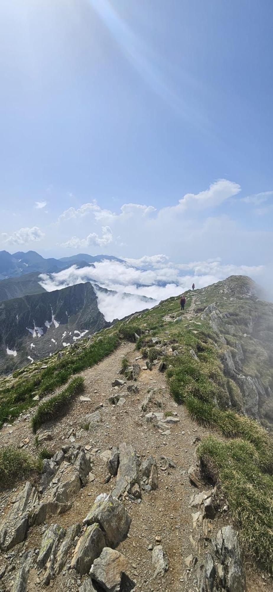 Appartement Casa Oaspeti Transfagarasan à Cîrţişoara Extérieur photo